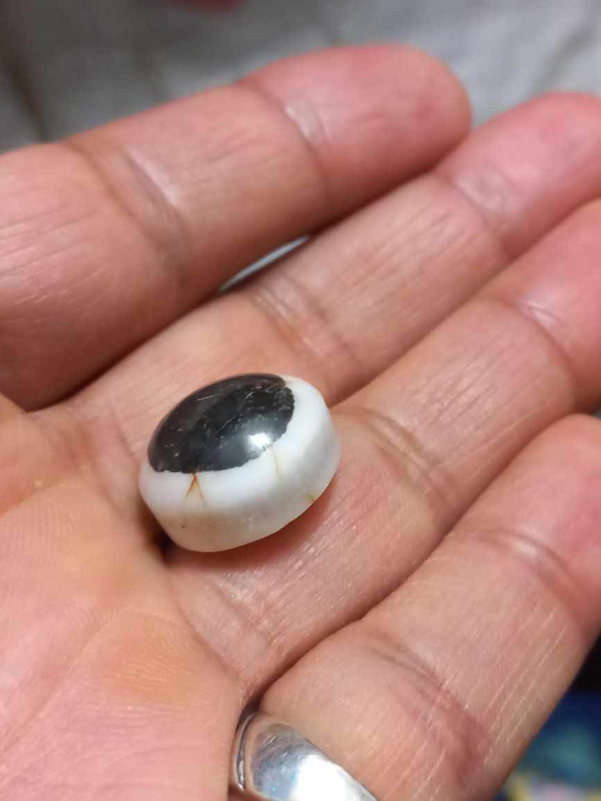 جزع بقري يماني 
للبيع بسعر نهائي  ٣٠  الف


**إذا كنت صاحب هذا الإعلان وتريد حذفه لأي سبب، رجاءا أرسل رسالة إلى الدعم الفني**