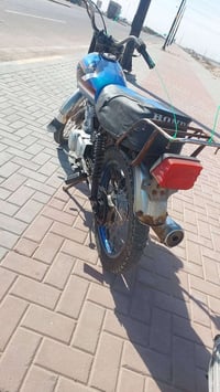 شغاله • كلك • مكفوله