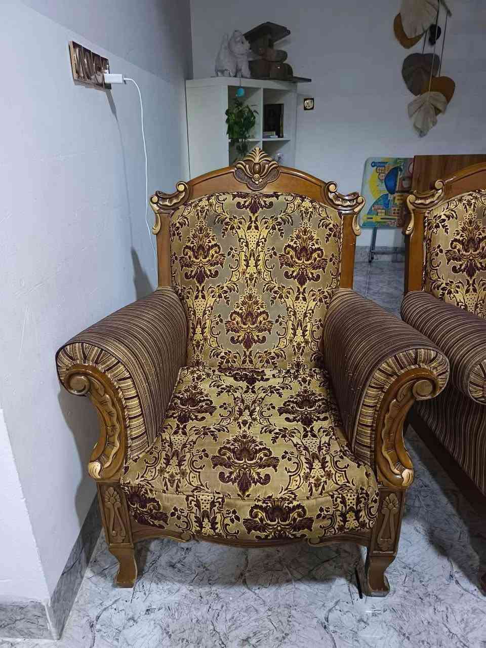 طخم للبيع مع الوجه والبردات ب300الموصل ايسر 
التواصل ***********
