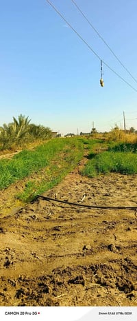 قطع للبيع طابو زراعي سند 25 قرب حي الصحه  المساحه مفتوحه اكثر من 50 قط...