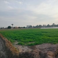أرض البيع  الموقع السريع الدوالي  بصره حاله  بغداد   تبعد عن  جسر الرا...
