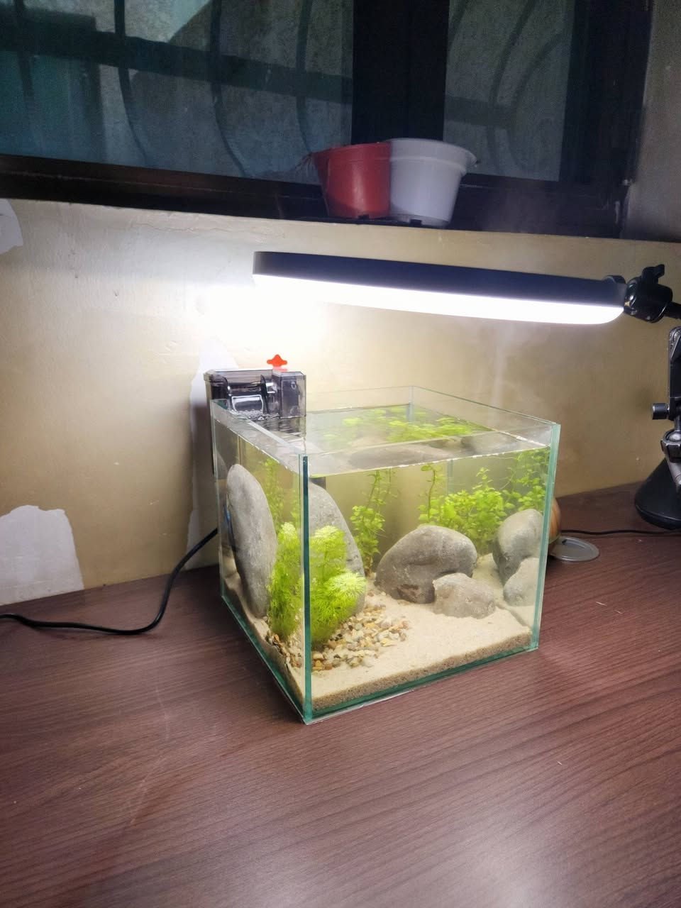 تصميم لحوض 20× 20 ×20🌿☘️🐠
للكلب والاستفسار خاص
يوجد توصيل لجميع المحافضات 🚛


**إذا كنت صاحب هذا الإعلان وتريد حذفه لأي سبب، رجاءا أرسل رسالة إلى الدعم الفني**