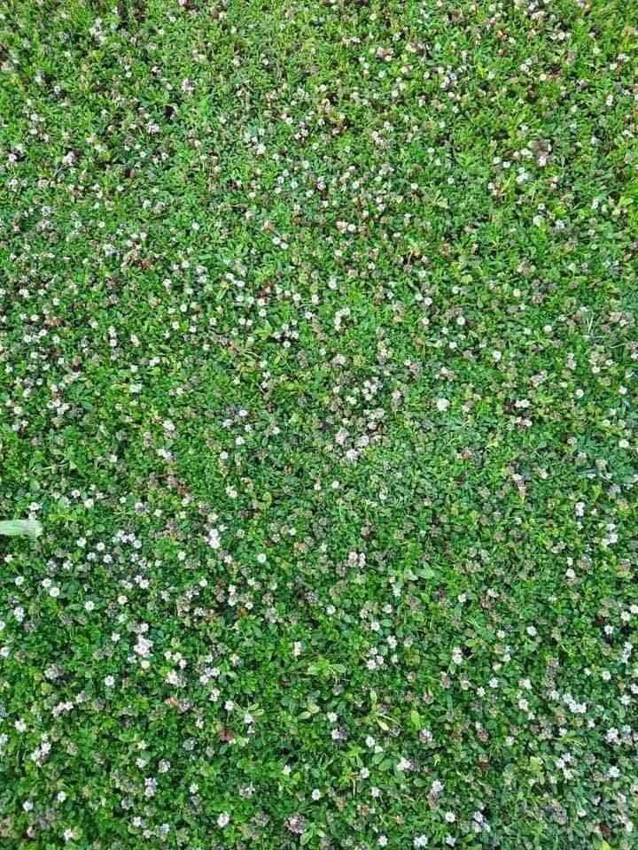 الحمد لله


**إذا كنت صاحب هذا الإعلان وتريد حذفه لأي سبب، رجاءا أرسل رسالة إلى الدعم الفني**