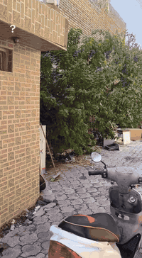 الهم صل علا محمد وآل محمد
ماكس منغولي جديده الله شاهد ما طالع بيه وما ماشيه حاويه ستعمال شهر وقل كفاله عامه كفرات ختم واحد وي لمكينه كفرات اصليه كابريتر اصلي كله اصلي مابيه كل قطعه مبدله ناشفه ومال جناي لياخذه كربايات كله شغاله نكره باي وقت سلف هندر برغي ما مفتوح برغي  بيه. تفحص وتقتنع علراحتك مكانه رميثه حي العسكري  ثالثه وسعره 950 وبيه مجال رقمي لتواصل ‏‪0788 292 6252‬‏
