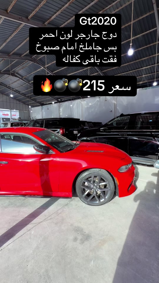 


**إذا كنت صاحب هذا الإعلان وتريد حذفه لأي سبب، رجاءا أرسل رسالة إلى الدعم الفني**