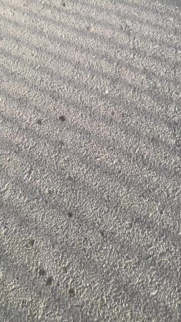 سلام عليكم 
اوبتره للبيع 
موديل 11
شركه عامة
صبغ عام الجماليه 
رقم ديالى نكليزي الجديد 
محرك 1600 كفاله لا تنقيص لا تبخير 
نظافه فول لا خياس 
مكاني ديالى المقداديه 
رقمي ***********
السعر 68
