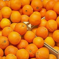 بسماية • ١٥ كيلو • علوة بركات
