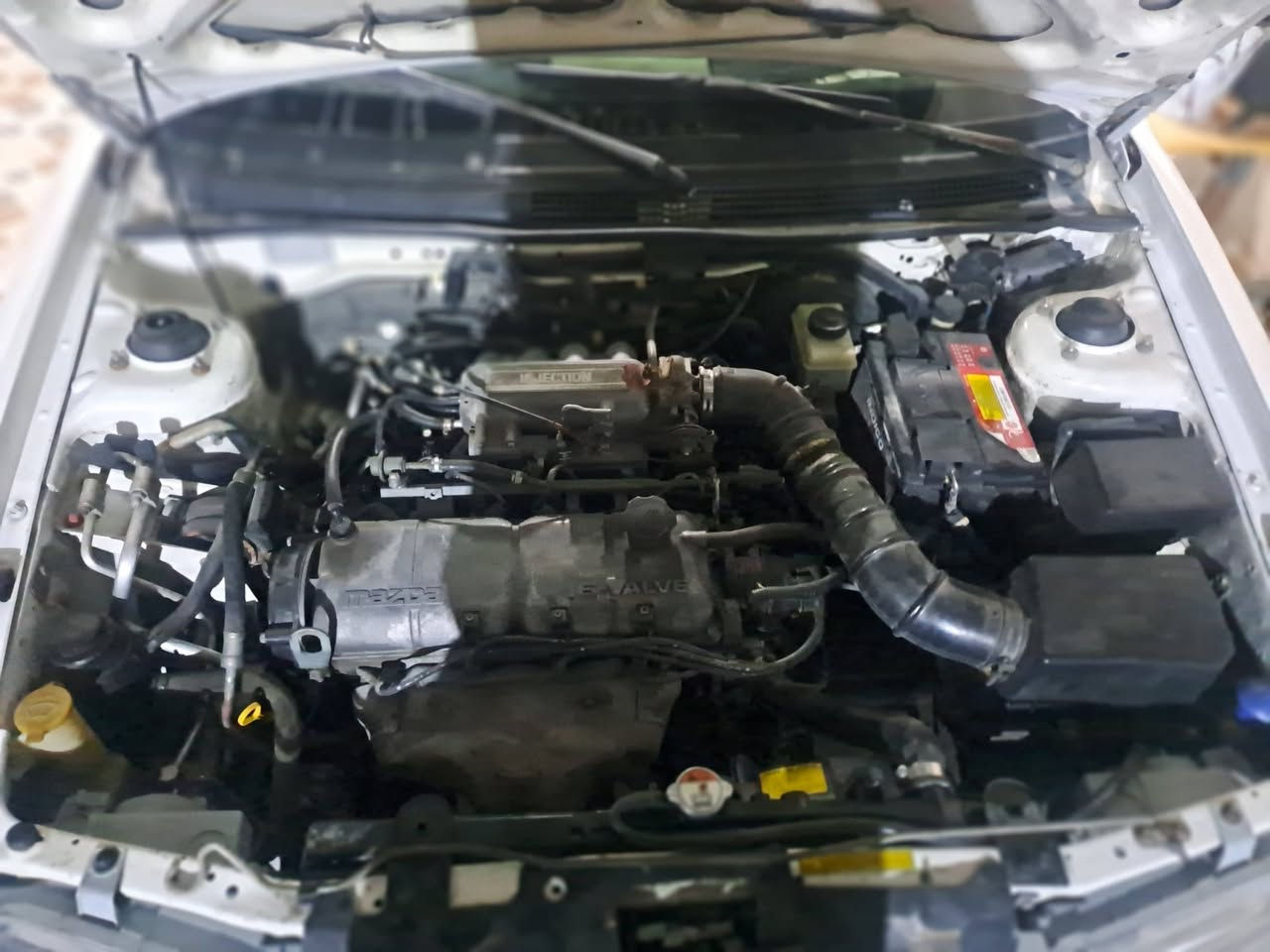 سيفيه للبيع
رقم بغداد تبريد تدفئه شغاله 
كير محرك مكفول 
سعر 43 وبيه مجال 
***********
