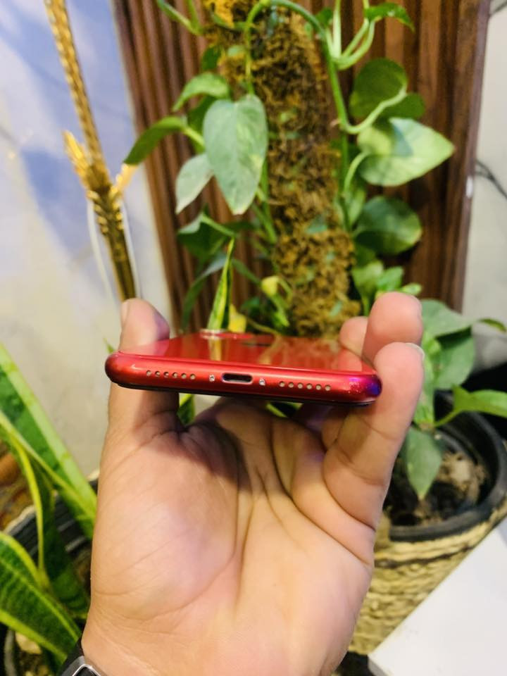 ايفون ١١ ماستر كامل ملحقات
بطارية : ١٠٠مبدل من شركه ابل 

ذاكرة : ١٢٨ 

فيس ايدي شغال 

السعر٢٣٠

دبل خط 

شاشه تفصيخ مال وكاله شرط 

نضافه الجهاز١٠٠بل١٠٠

مكاني حله ابو خستاوي  

‏***********
