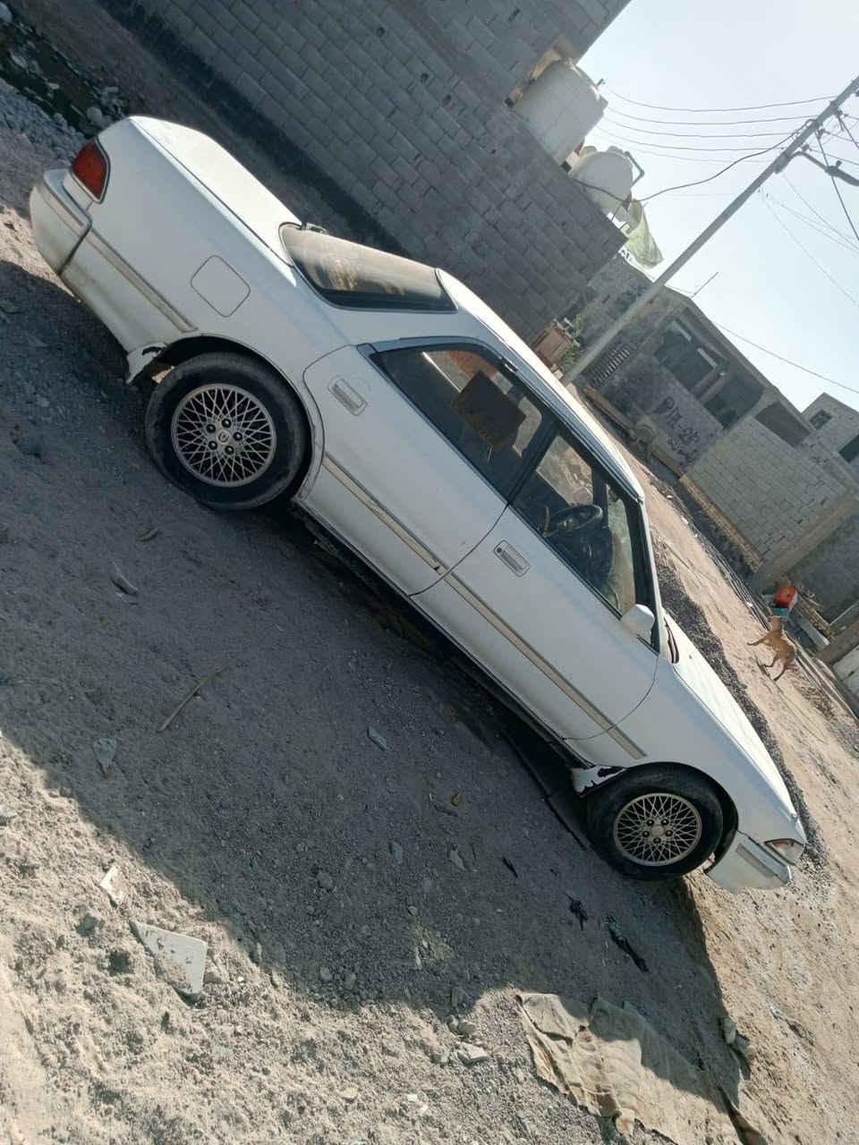 السلام عليكم سياره مارك كصيف مكفولة من كص و نقل رقم بصره نكليزي مكينه تعبانه تبخر وتنقص گير جديد حدادية زينة السياره بيها خياسات وره يم التاير كهربائيات ولاطكة كلهن ما شتغلن السعر 40 وبيها مجال مكان بصره ابو الخصيب ابو الجوزي


**إذا كنت صاحب هذا الإعلان وتريد حذفه لأي سبب، رجاءا أرسل رسالة إلى الدعم الفني**