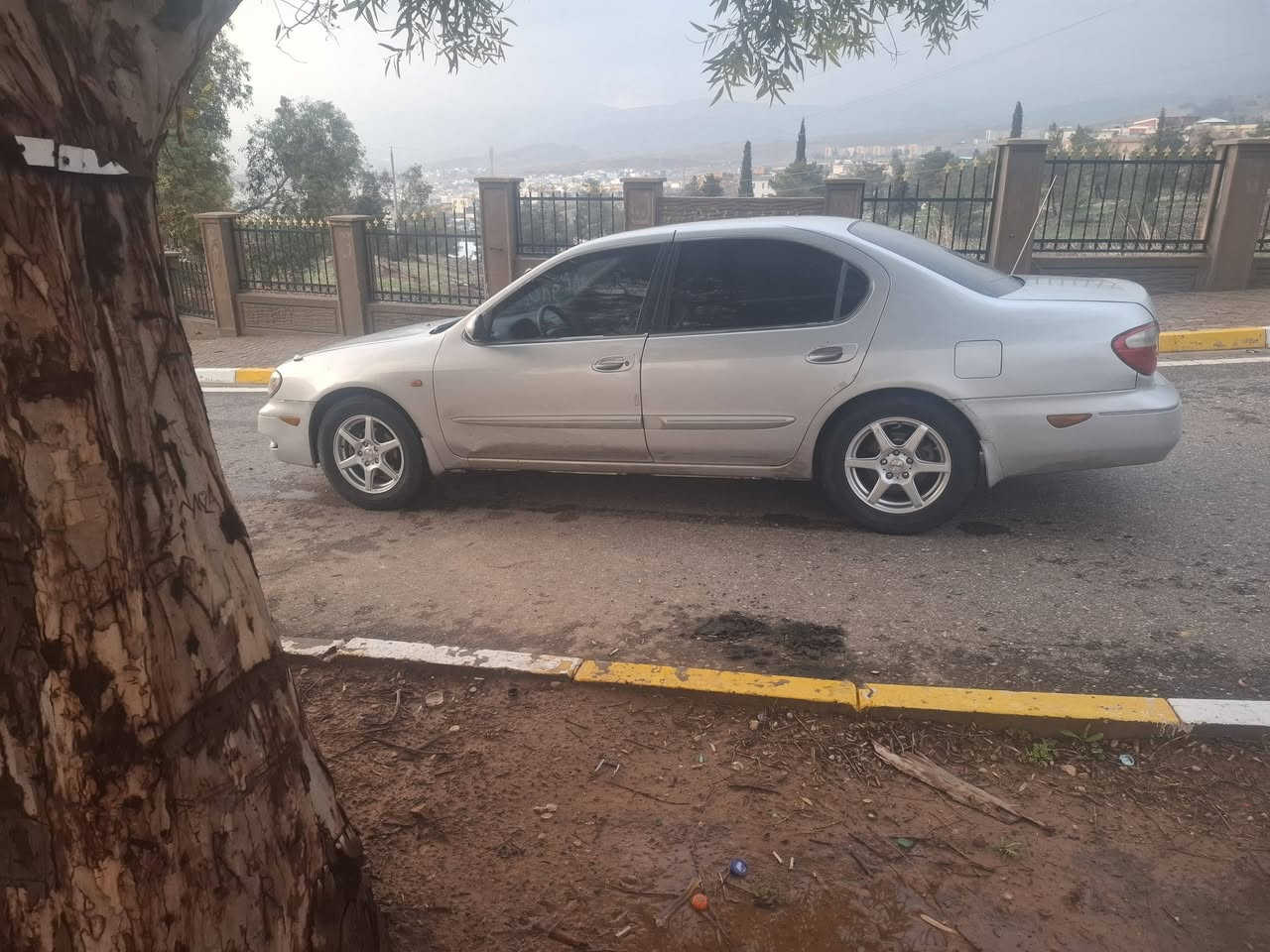 نیسان ماکزیما 2004تحویل اسل صنوی جید 2031شرت دعامی بدعامی صبووغ عام جمالیه مابی زرب مابی دواخل  ***********
***********
