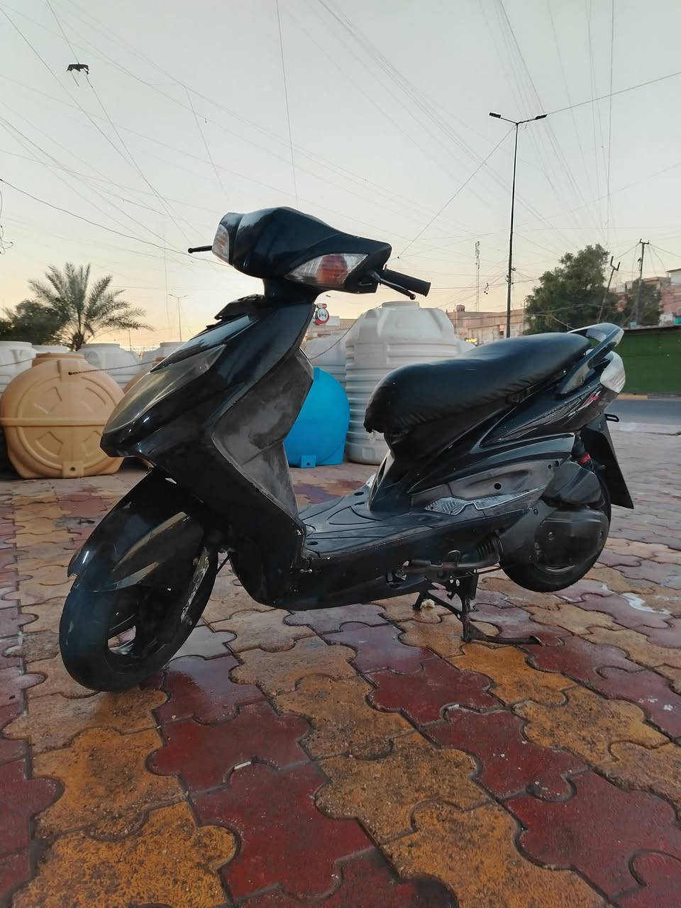 سلام عليكم سكنس فحل للبيع مكفولة كفالة عامة  مكاني مدينة الصدر ***********
