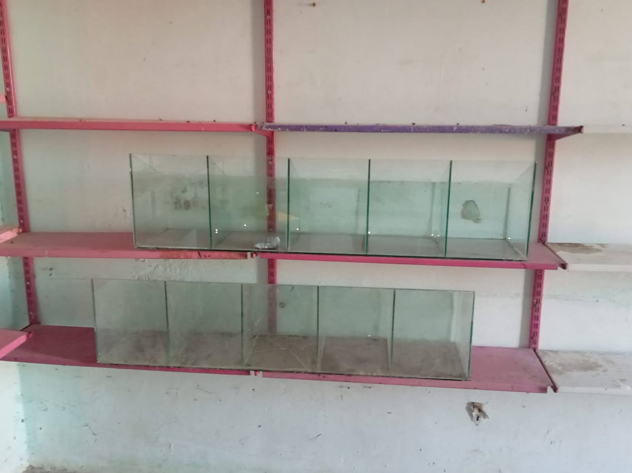 سلام عليكم مجمده +عارضات ببسي او اجبان كلشي يرهمن للبيع الموقع سعده عل درب جوه مقابيل سواق الفاروق  قرب جامع صحابه *********** اني مكلف بل نشر اتصلو عل رقم وتحياتي لجميع & ادمن وافق
