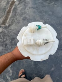 صني • ابطانه • اصليه