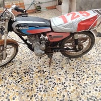 زرع • شغاله • شاصي سليم