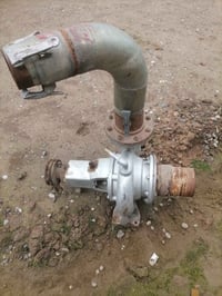 خنزيرة مصريه ٦ في ٦ هاتف ٠٧٧٣٦٩٤٠٦٨٦