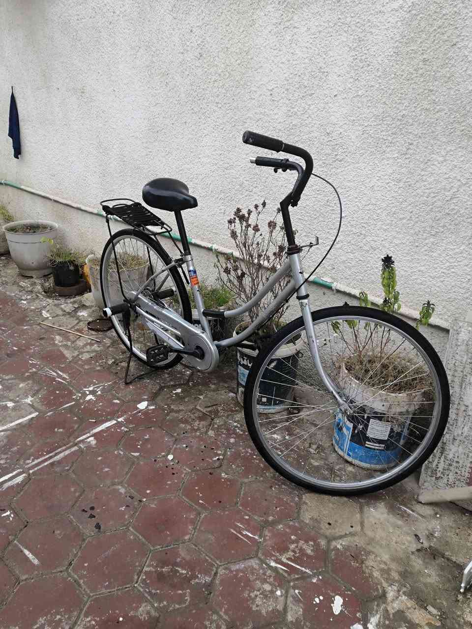 السلام عليكم شباب بايسكل للبيع حجم 26 السعر 75 وبي وبي مجال قليل مكاني كوت الزهراء ليريده يجي خاص


**إذا كنت صاحب هذا الإعلان وتريد حذفه لأي سبب، رجاءا أرسل رسالة إلى الدعم الفني**