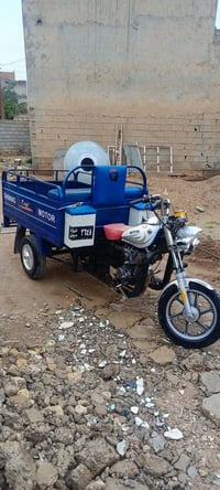 ستوته ٢٠٠٩ • رقم اسود • ديالى