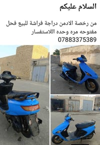 فراشة • بصورة