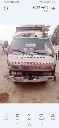 كلاب تيوته مامسجل البيع مكفول ٠٧٧٠٩٣٩١٧٩١ السعر ٦٥