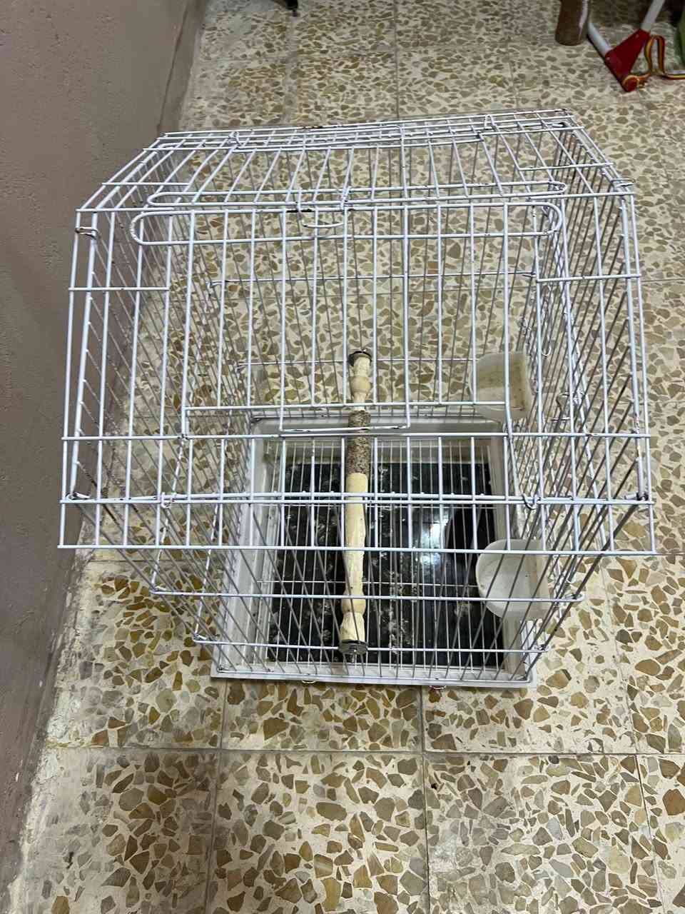 قفص للبيع ب 35
***********
مكاني بصرة
