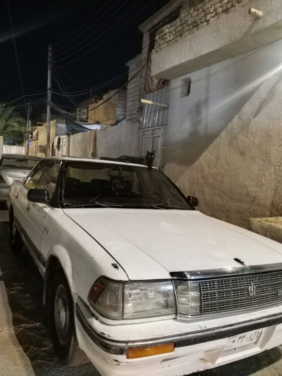 (هارتوب سيدان) 1989

يسره بلادي مكينه ونجي وكير جدد مكفوله من صبغ وضربه
مسجل شاشه +كهربائياتها كلها تشتغل +سنتر لوك 
 سياره تمشي معدل فول رزانه 
مكاني كربلاء - حي العامل 
ابيعلك بدون رقم
للاستفسار : ***********
