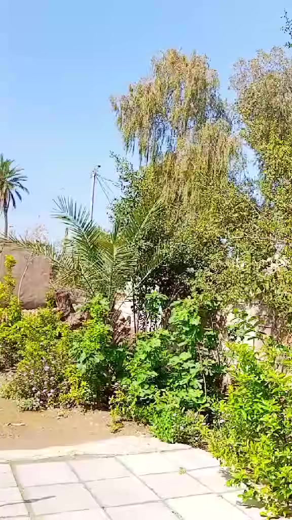 السلام عليكم 💙✌
شعندك مراوس سيجي انتنس تعالي خاص ابو ال 24 طلع گبل

دراجه للبيع او مراوس 
دراجه تعمير كلهااا 25  نامه شلامجه وكلهاا اصلي ومختم دراجه ماعايزه برغي كلككك كلك مكفوله من كلشي لاتبخير لاتدخين لانضوح دراجه جديده ومامتعوبه الله شاهد بطله دراجه فصله ومعدل فول 💙 

نصبتهاا فول 🔇✌

مكاني دوانيه قضاء الشاميه رحمه لموتاك الي تراسلني اقره التفاصيل وتعال تشلع عيوني 😇


**إذا كنت صاحب هذا الإعلان وتريد حذفه لأي سبب، رجاءا أرسل رسالة إلى الدعم الفني**