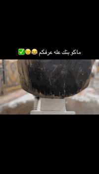 سلام عليكم.دراجه نامه شلامجه اصلي وشرط الفصله وشاصي نامه اصلي دراجه حلوه ومرتبه السعر 650.  ***********
