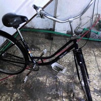 بايسكل بناتي بطى الحجم 28 التفاصيل الباسكل اسود الون الصلى ما مصبوغ  ا...