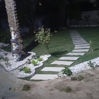 بابل • زراعة حدائق • ديكورات
