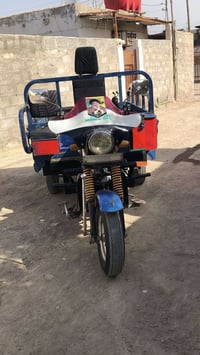 ستوتة • ١٩ • جاهزة