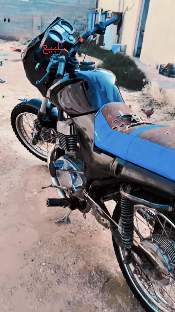 مراوس دراجه نظيفه


**إذا كنت صاحب هذا الإعلان وتريد حذفه لأي سبب، رجاءا أرسل رسالة إلى الدعم الفني**