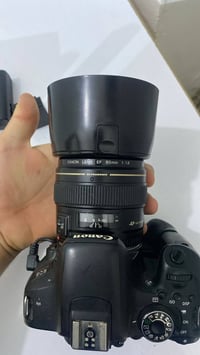 كانون D800 • عدسة ٨٥مم • فتحة ١٫٨
