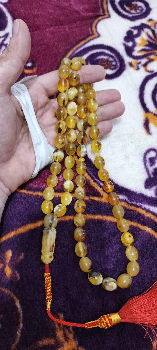 كهرب بولوني كلوحده وسعره المهتم يتفضل عله الرقم ويدلل
***********
