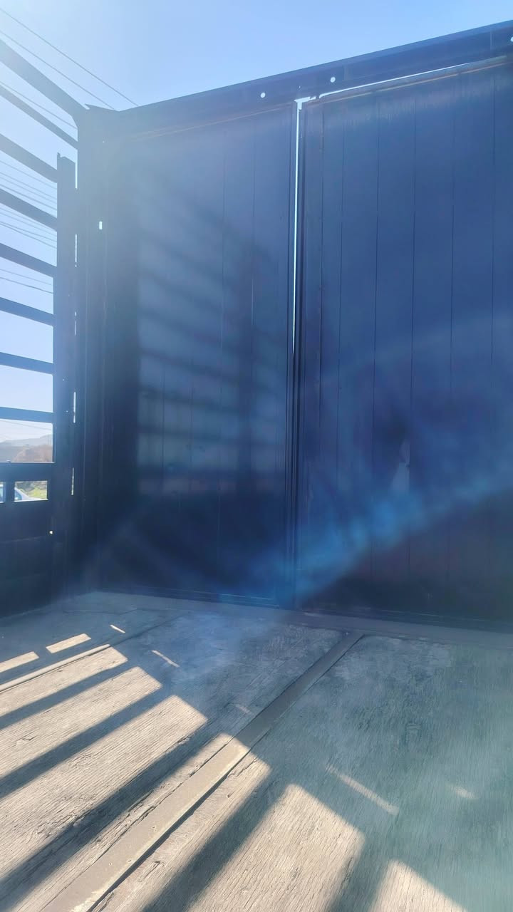 السلام عليكم ورحمة الله وبركاته
للبيع  بدي الطول 7متار و16 العنوان موصل اخوكم ابوثامر مكلف بنشر للاستفسار الاتصال على الأرقام والسعر 15
وبي مجال اتصل مكلف بنشر
***********
***********
