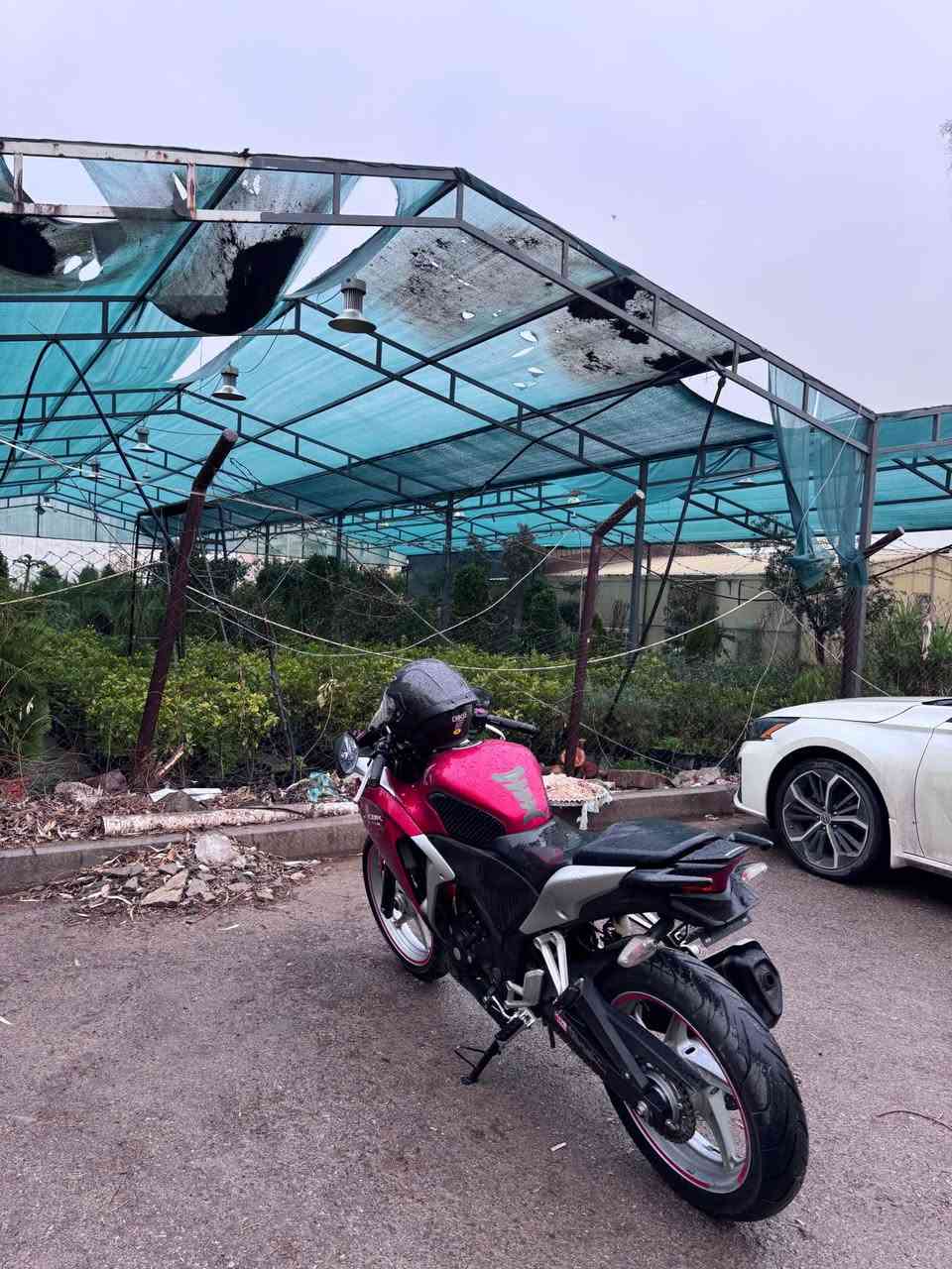 CBR 250 cc أربيل, العراق


**إذا كنت صاحب هذا الإعلان وتريد حذفه لأي سبب، رجاءا أرسل رسالة إلى الدعم الفني**