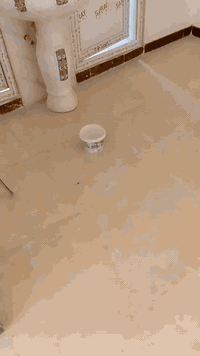 بيت ايجار شقتين طابق ثاني وثالث مساحه 150م هاتف *********** ابو علي
