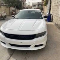 مكفولة • بدون تبديل • مرقمة سليمانيه