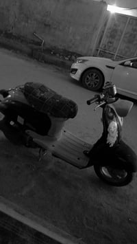 دراجه مصريه • شغاله • عوزه كابريته