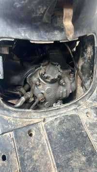 دولفين • فول • مكينة سلف