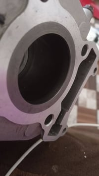 بوشه • 49ماكس • مشدوده