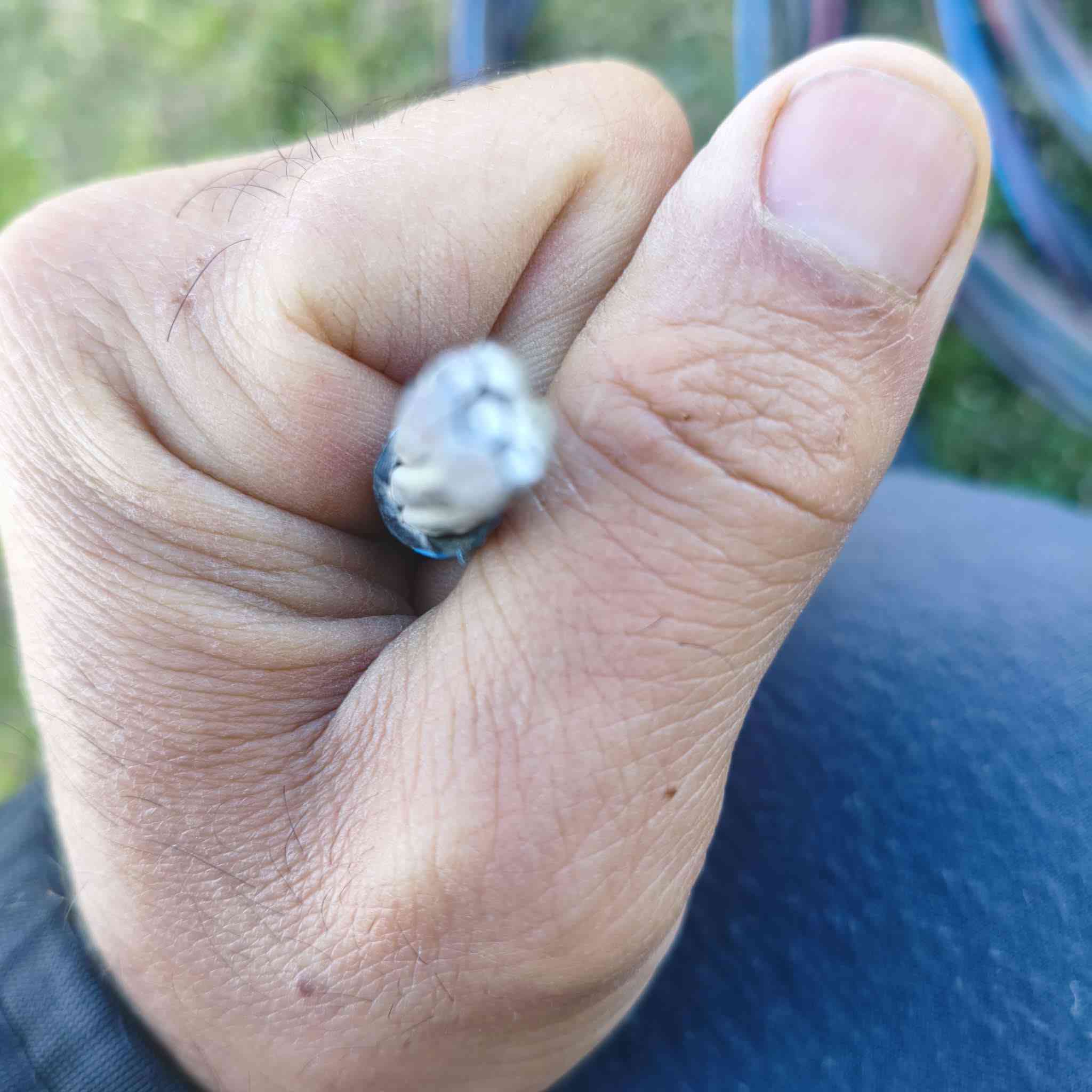 ضفيره تركي ام ٣٥
المتر ب٣٠٠٠ الف
‏‪***********‬‏
