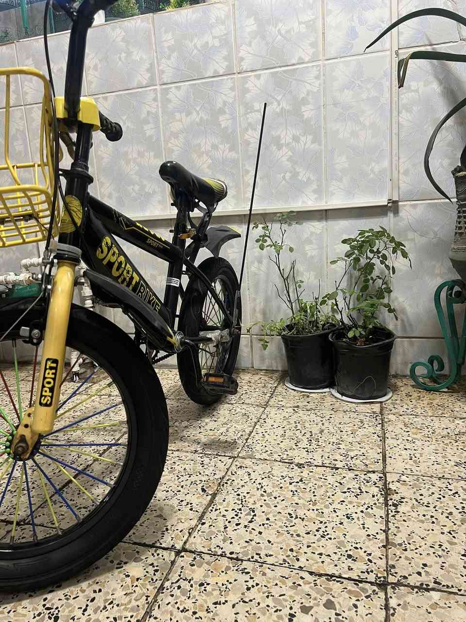 باسكل جديد اي ضرر ما بي
للبيع


**إذا كنت صاحب هذا الإعلان وتريد حذفه لأي سبب، رجاءا أرسل رسالة إلى الدعم الفني**