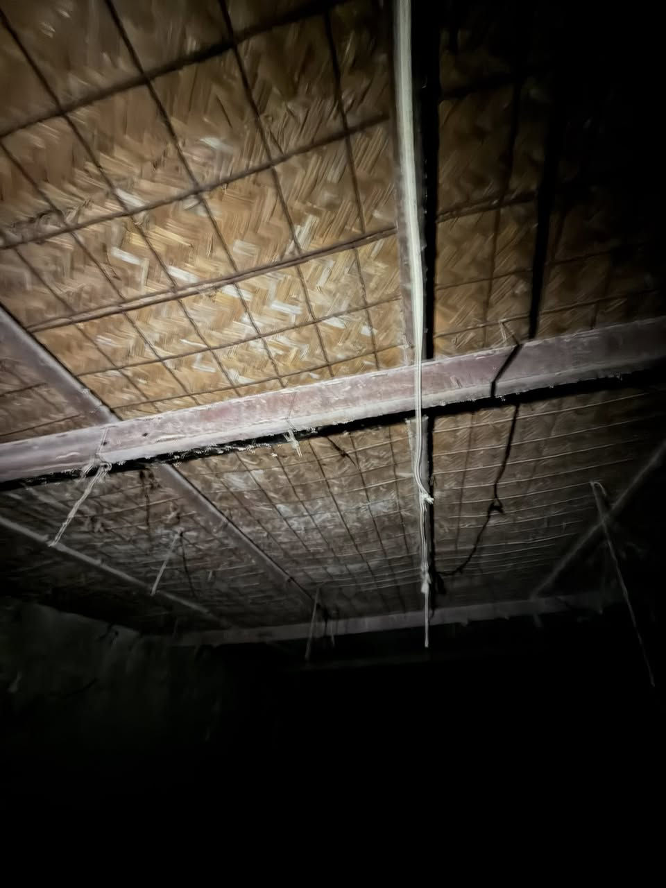 السلام عليكم حقل دواجن البيع حديد وا مفراغات مال اعلاف السعر مناسب اليحب ياتصل ع الرقم 
***********
