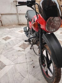 بوكسر جبلي • مكفوله اوراق • ٢٠٢١