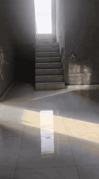 متفرغ حاليا شغل رقم واحد 
***********
