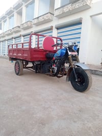 ستوته • مرقم • المسيب