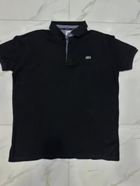 لاكوست • مقاس XL • ملابس