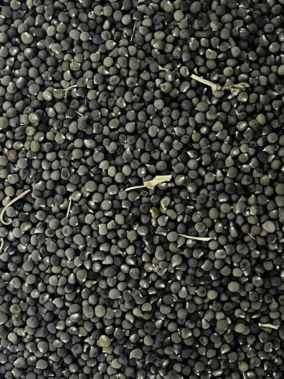 حبوب يابسات متنوعة متوفرة الآن.
للطلب والحجز يرجى الاتصال على الأرقام التالية:
***********
***********
الأسعار مناسبة.
