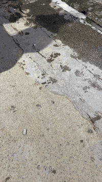 سلام عليكم
سكنس فحل كابريتر للبيع
مكينه بلاديه كفاله عامه خرسه صوت مابيه جيب 10 فيتريه دراجه جديده دشبول كله شغال دبل اشاره لايت عالي ناصي كفرات ختم واحد بلاديات كفرات دراجه مال رمبه مو مال شارع  
اديرله احسن دهن موتل وبانزين محسن
دراجه جديده ربع متصرف عليه شوف ملاح مال رمبه مكان بغداد الاعظميه سعر 750
الاستفسار. ***********
